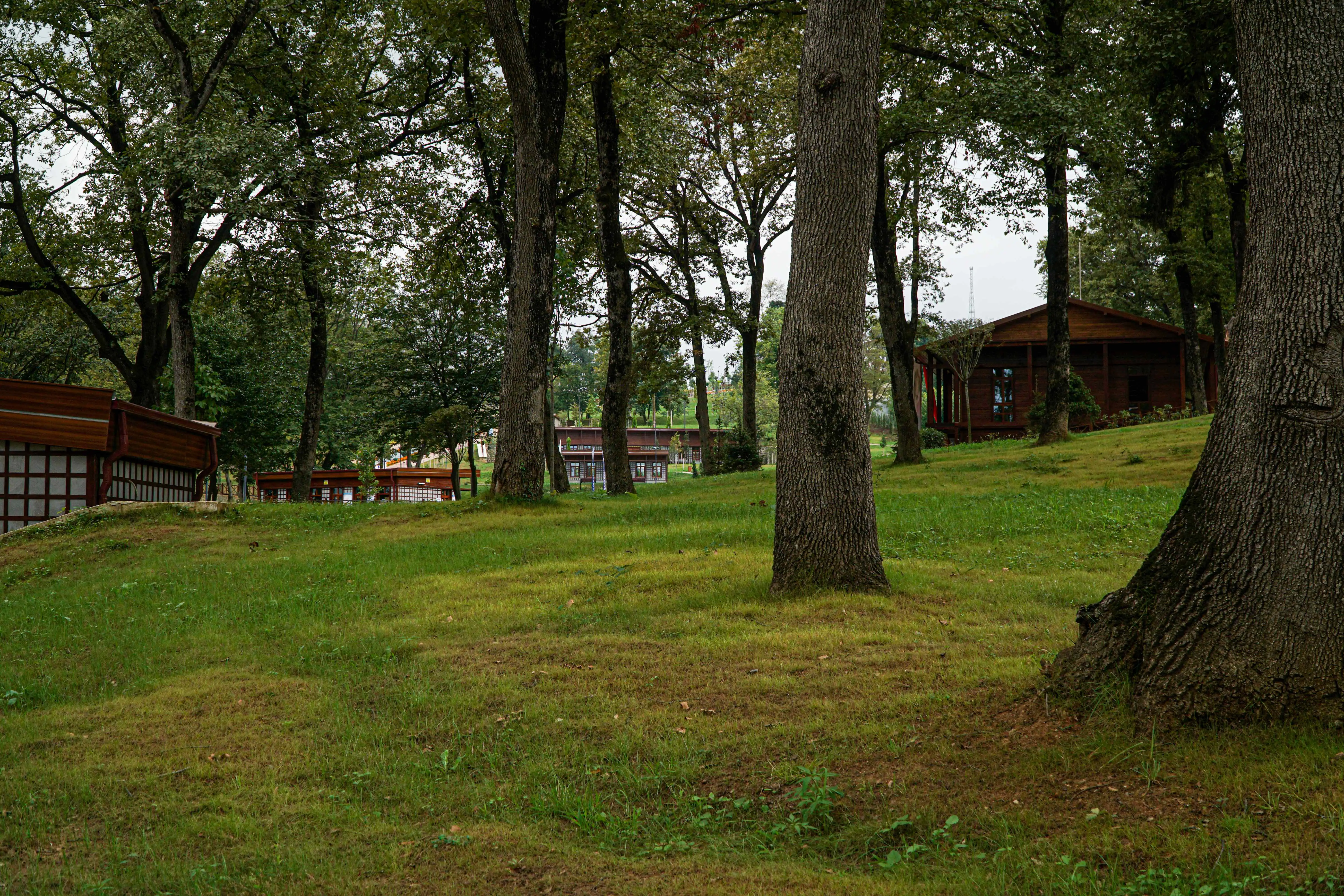 Botanik parki (26)